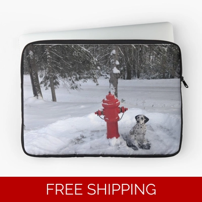 Le Studio Laptop Sleeve Rush signals Monument Winter 2020